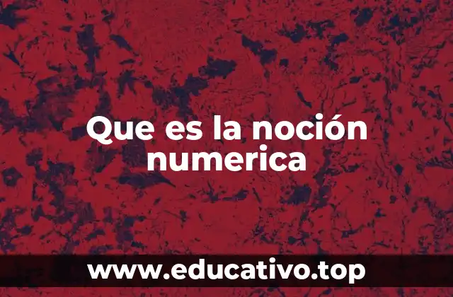 Que es la noción numerica