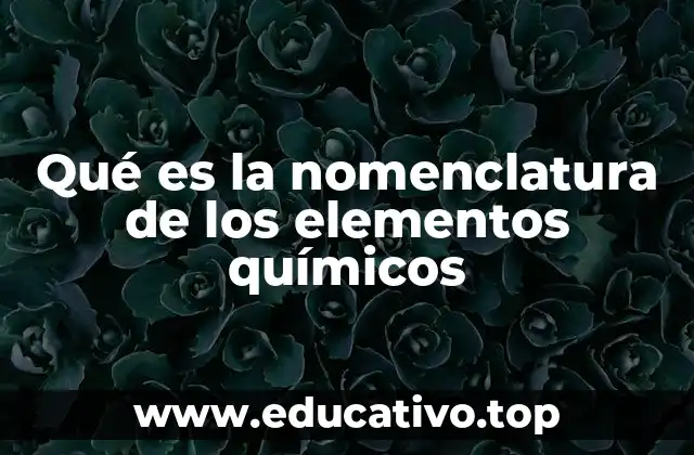 Qué es la nomenclatura de los elementos químicos