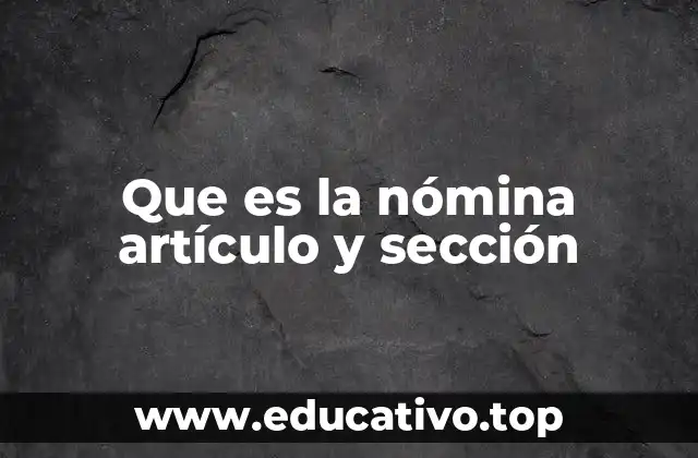 Que es la nómina artículo y sección