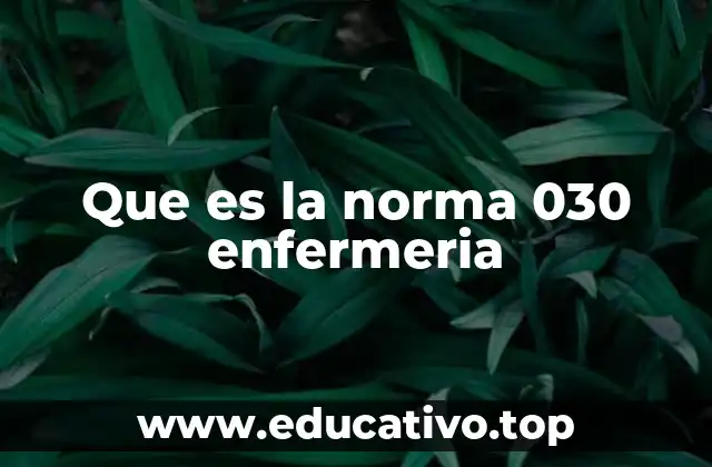 Que es la norma 030 enfermeria