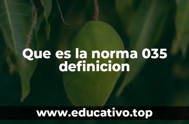 Que es la norma 035 definicion
