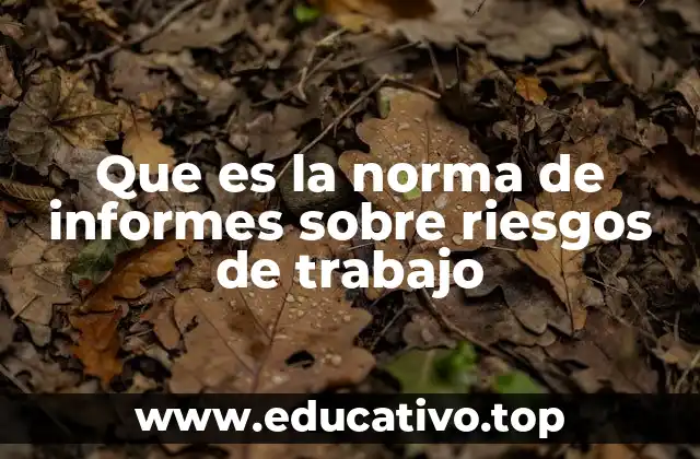 Que es la norma de informes sobre riesgos de trabajo