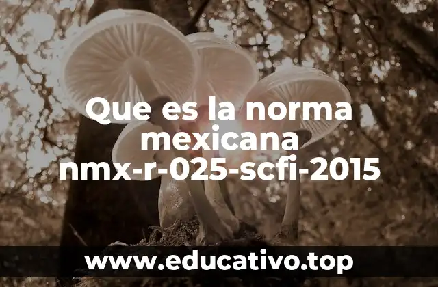 Que es la norma mexicana nmx-r-025-scfi-2015