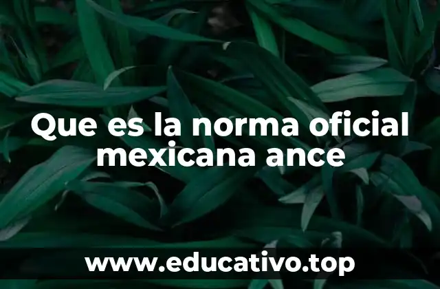 Que es la norma oficial mexicana ance