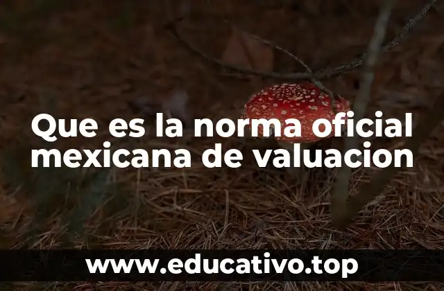 Que es la norma oficial mexicana de valuacion