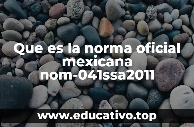 Que es la norma oficial mexicana nom-041ssa2011