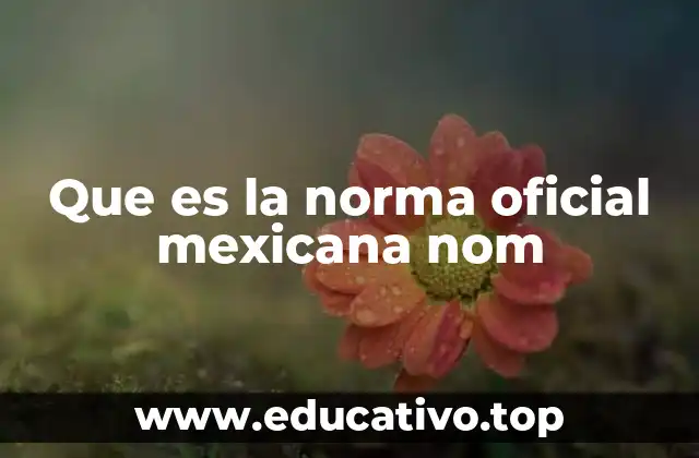 Que es la norma oficial mexicana nom