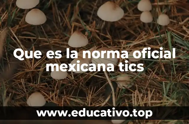 Que es la norma oficial mexicana tics