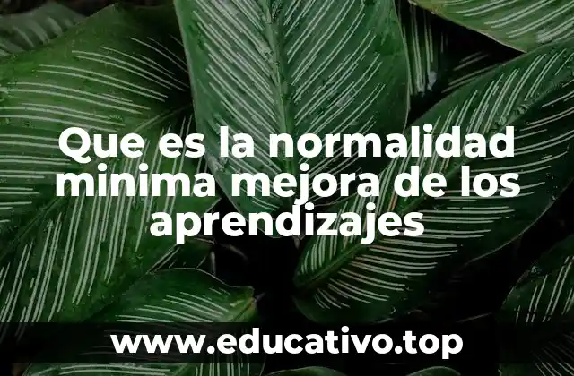 Que es la normalidad minima mejora de los aprendizajes