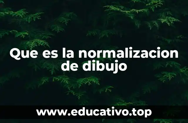 Que es la normalizacion de dibujo
