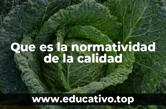 Que es la normatividad de la calidad