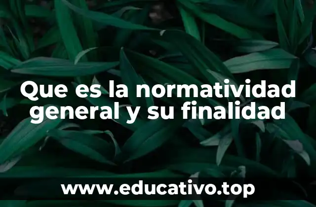 Que es la normatividad general y su finalidad
