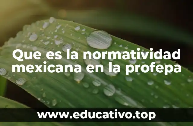 Que es la normatividad mexicana en la profepa