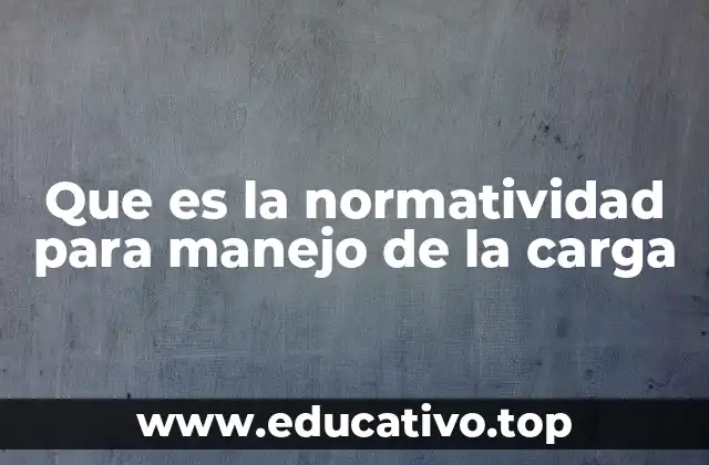 Que es la normatividad para manejo de la carga