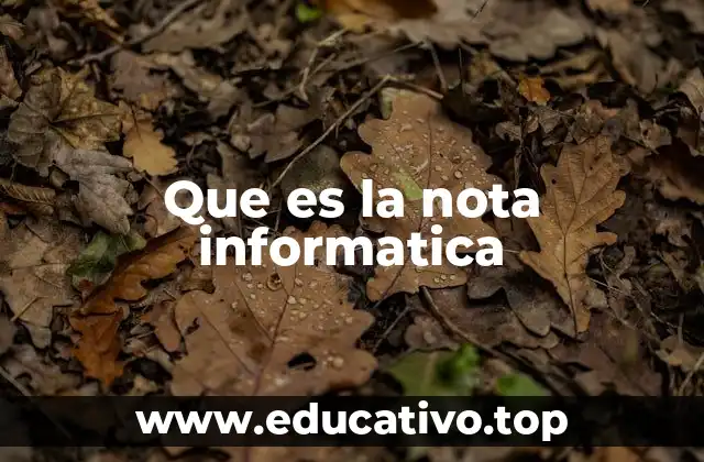 Que es la nota informatica