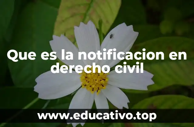 Que es la notificacion en derecho civil