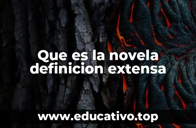 Que es la novela definicion extensa