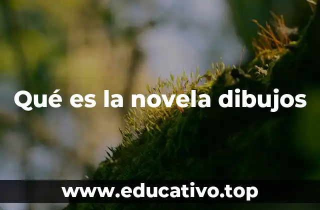 Qué es la novela dibujos