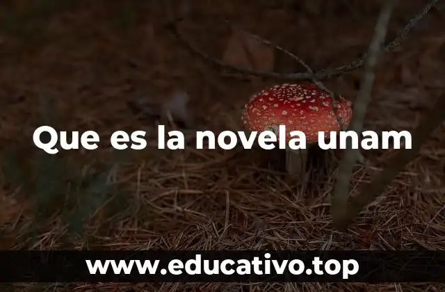 Que es la novela unam