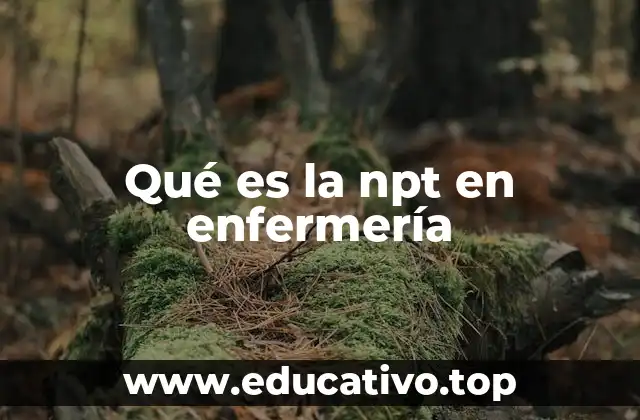 Qué es la npt en enfermería