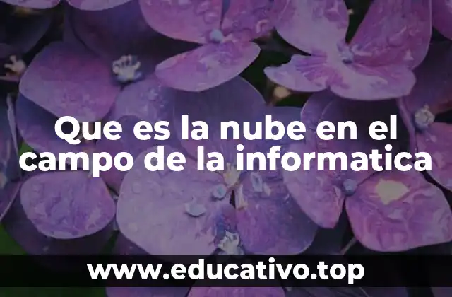 Que es la nube en el campo de la informatica