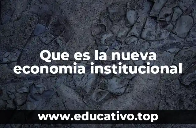 Que es la nueva economia institucional