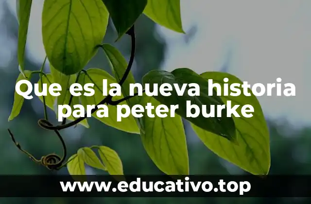 Que es la nueva historia para peter burke