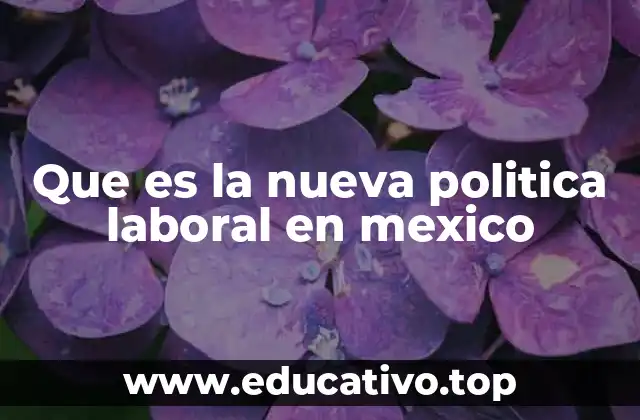 Que es la nueva politica laboral en mexico