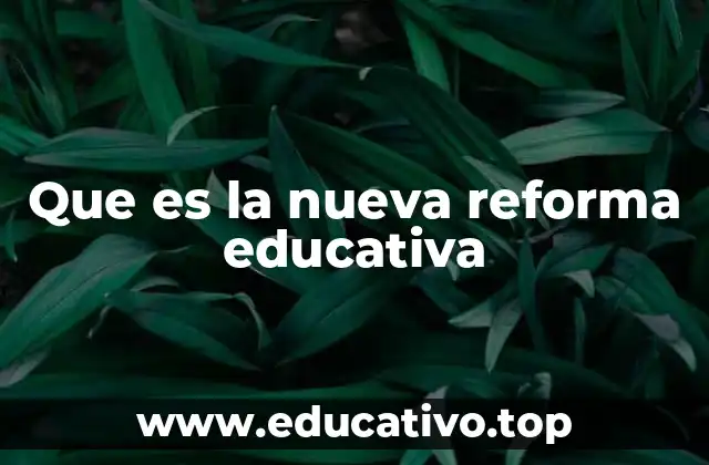 Que es la nueva reforma educativa