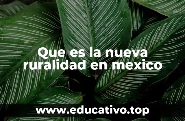 Que es la nueva ruralidad en mexico