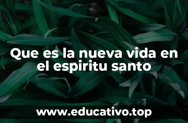 La importancia de la vida en el Espíritu en la experiencia cristiana