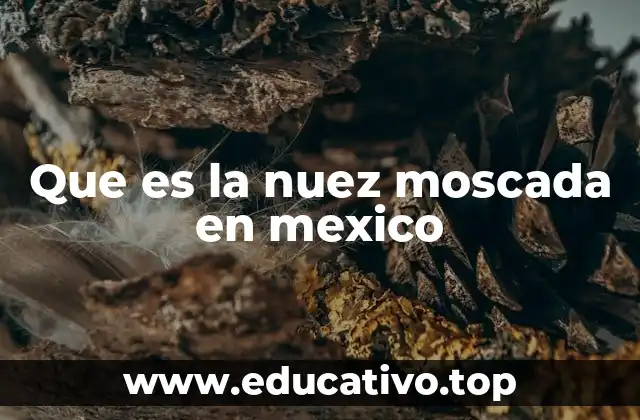 Que es la nuez moscada en mexico