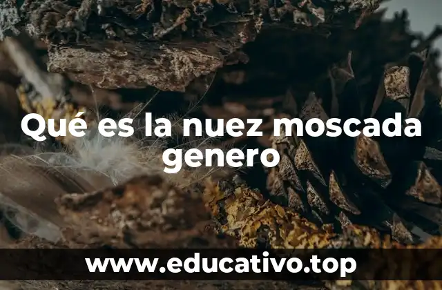 El origen y la historia detrás de la nuez moscada