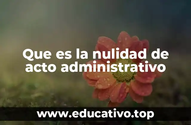 Que es la nulidad de acto administrativo