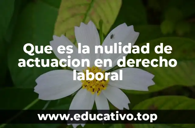 Que es la nulidad de actuacion en derecho laboral