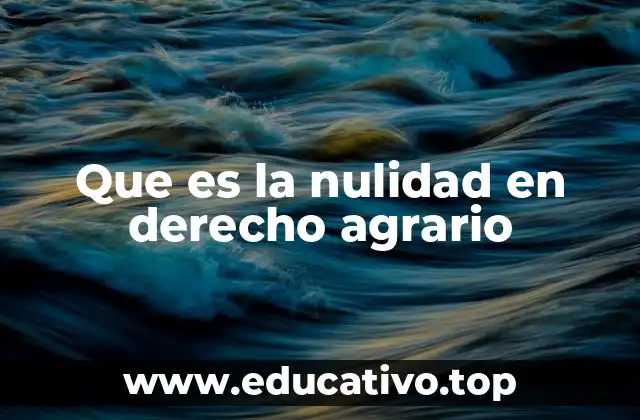 Que es la nulidad en derecho agrario