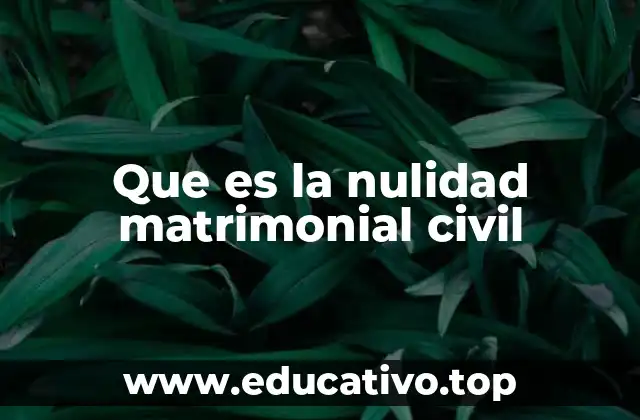 Que es la nulidad matrimonial civil