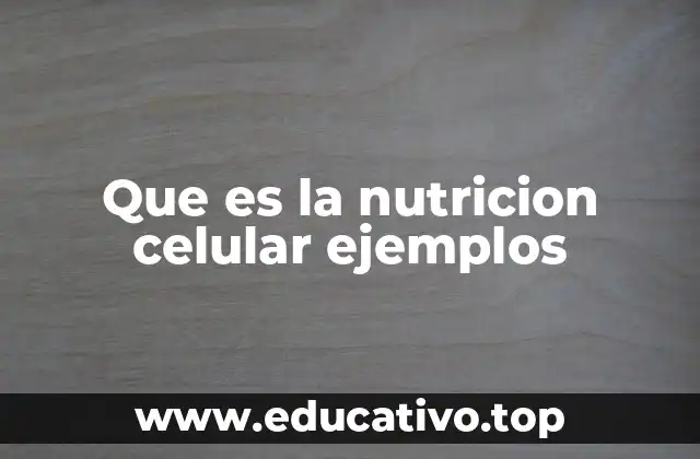 Que es la nutricion celular ejemplos