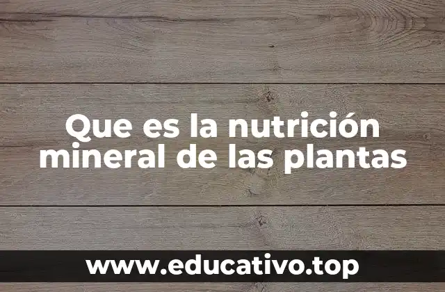 Que es la nutrición mineral de las plantas