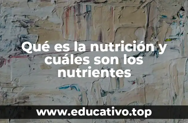 Qué es la nutrición y cuáles son los nutrientes
