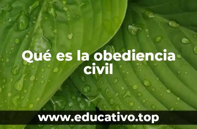 Qué es la obediencia civil