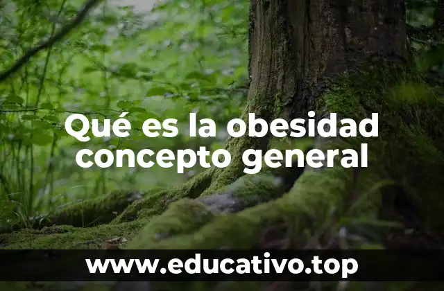 Qué es la obesidad concepto general