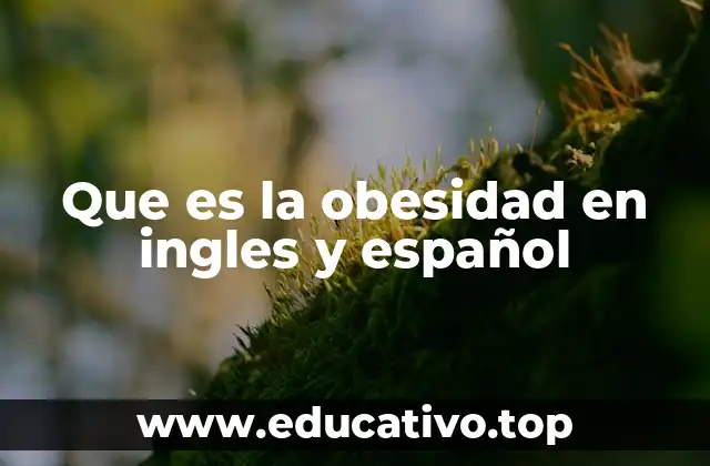 Que es la obesidad en ingles y español