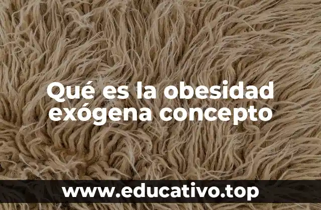 Qué es la obesidad exógena concepto