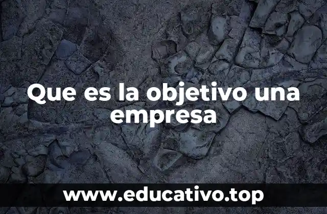 Que es la objetivo una empresa