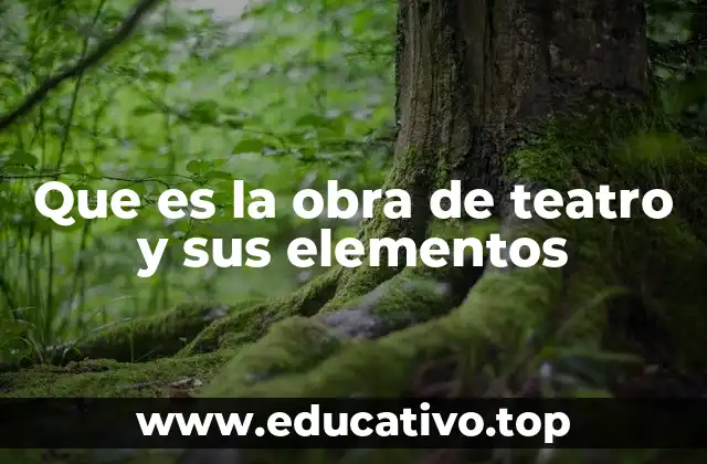 Que es la obra de teatro y sus elementos