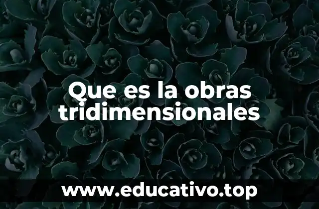 Que es la obras tridimensionales