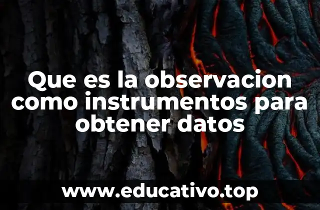 La observación como técnica de recolección de información