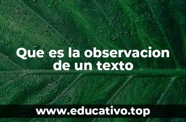 Que es la observacion de un texto