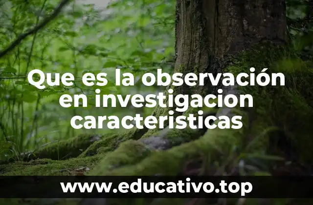Que es la observación en investigacion caracteristicas